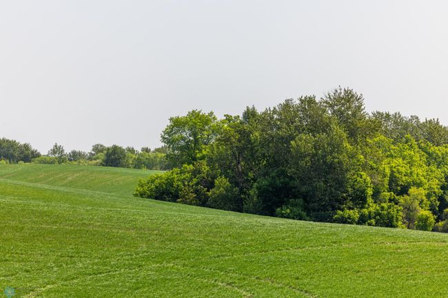 Amdak__Fosston MN - Land_0018.jpg | Image 19