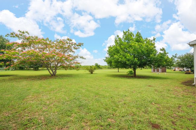 View of grassy yard | Image 29