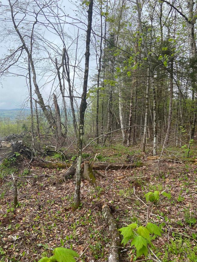 1180 Abbott Hill Rd, Home with 0 bedrooms, 0 bathrooms and null parking in West Burke VT | Image 32