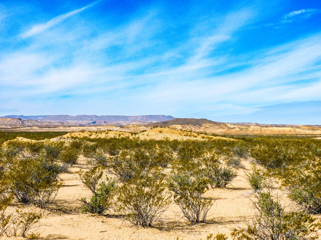 Land in Terlingua 3