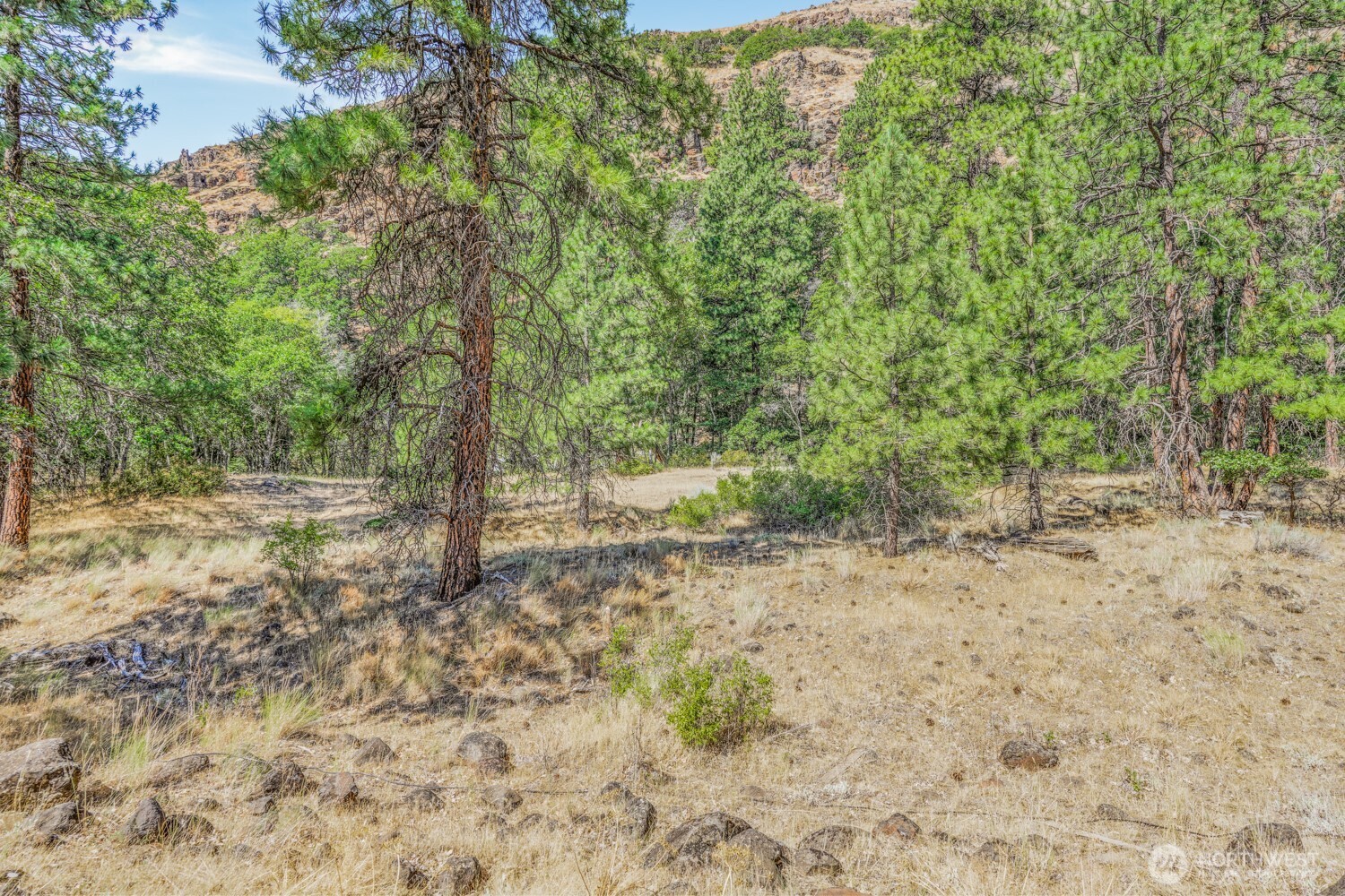 Land in Goldendale