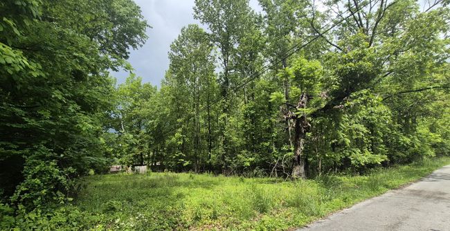 405 Spring St, House other with 3 bedrooms, 2 bathrooms and null parking in Monteagle TN | Image 27