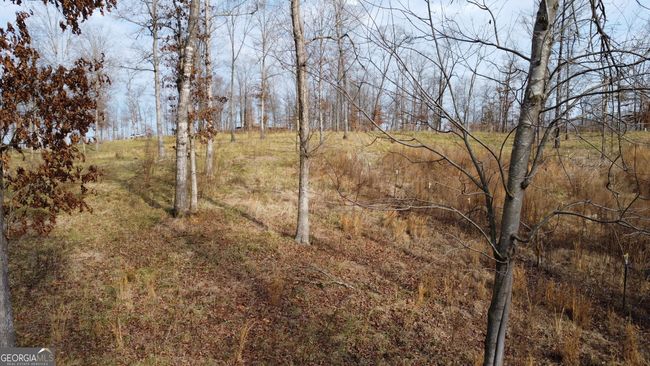 1.70 ACRES Wilkinson Rd, Home with 0 bedrooms, 0 bathrooms and null parking in Baldwin GA | Image 5