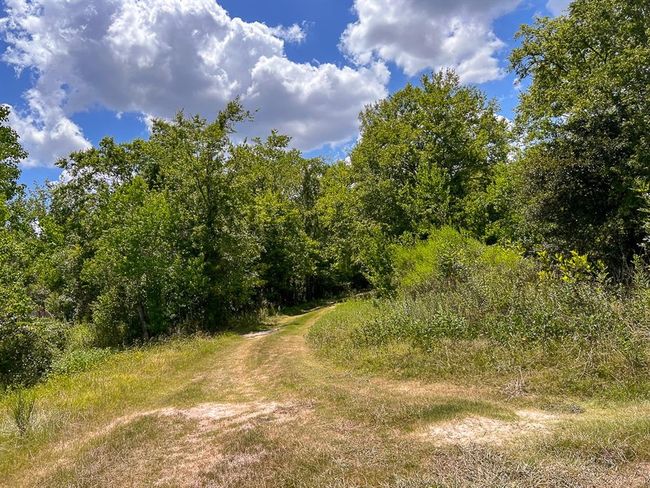1 Avenue C, Home with 0 bedrooms, 0 bathrooms and null parking in Batson TX | Image 8