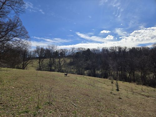 0 Ella West Cir, Lynnville, TN, 38472 | Card Image