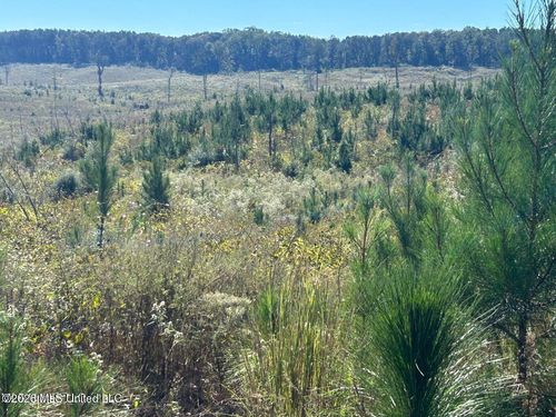 80ac Skyline Road, Meridian, MS, 39301 | Card Image