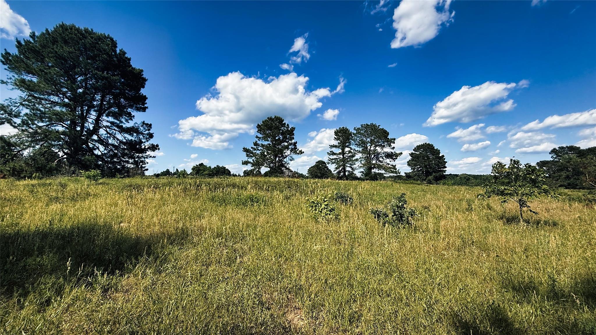Land in Henderson 3