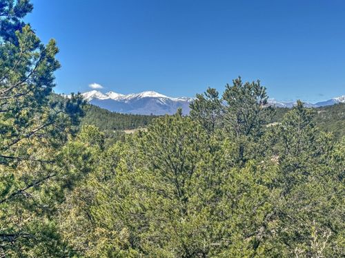 176 Bel Air Way, Cotopaxi, CO, 81223 | Card Image