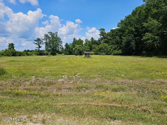 210 Memory Ln, Home with 0 bedrooms, 0 bathrooms and null parking in Burgaw NC | Image 5