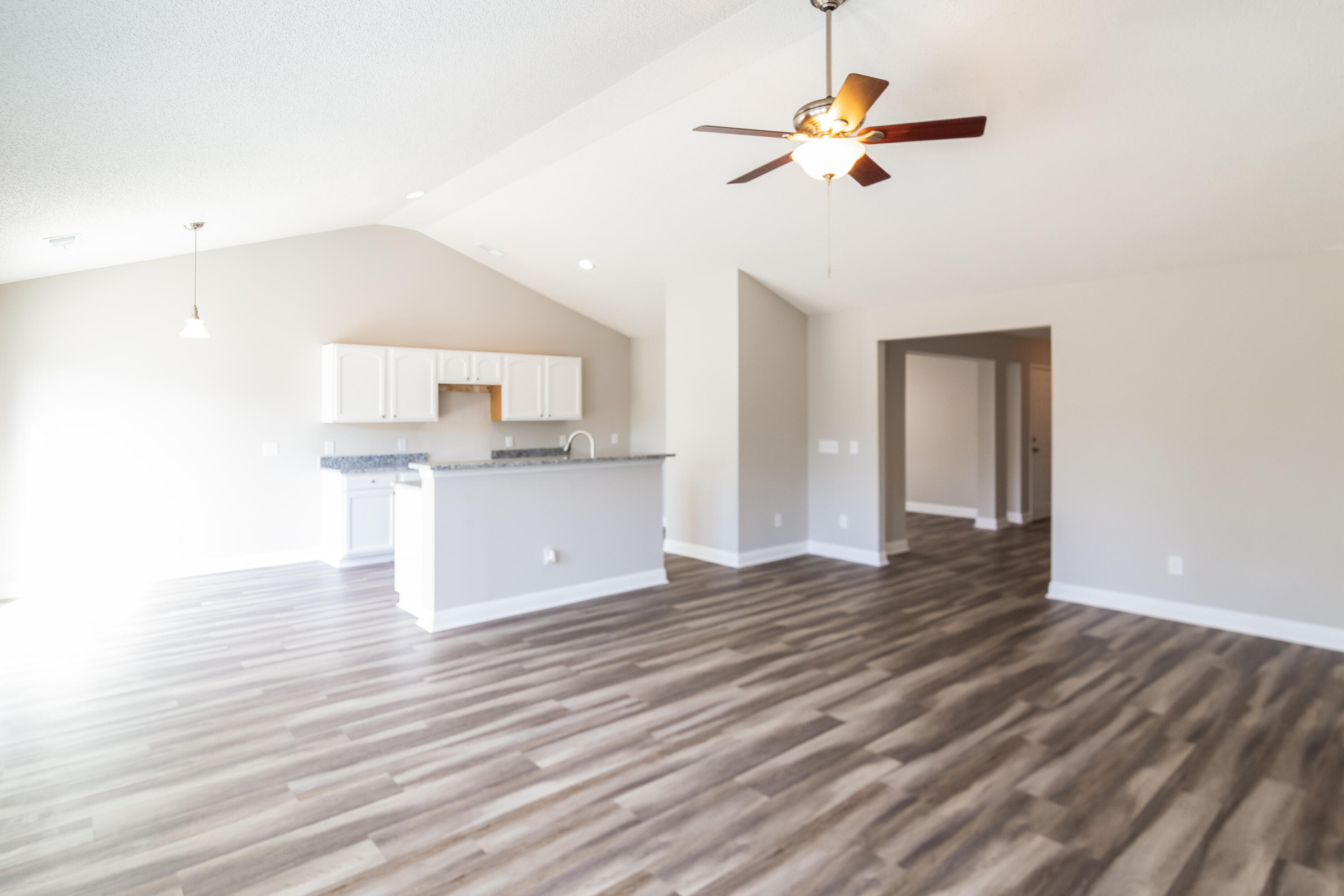 Residential in Summerville 3