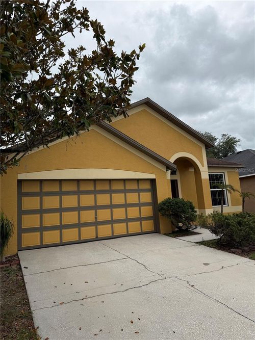 919 Grand Canyon Dr, VALRICO, FL, 33594-4351 | Card Image