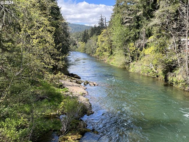 View-River | Image 41