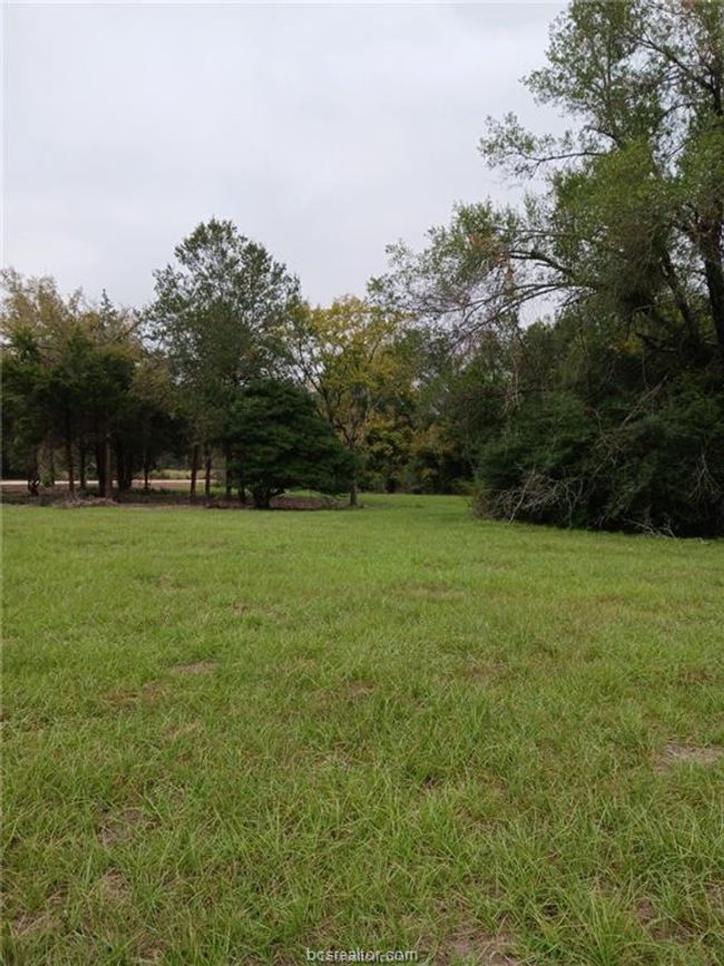 View of grassy yard | Image 8