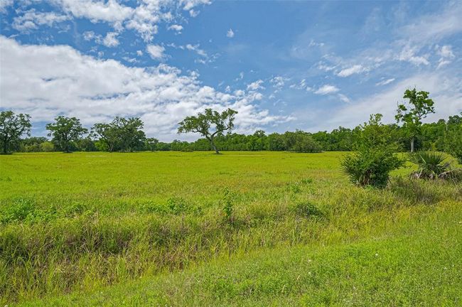 2015 Summers Rd, Home with 0 bedrooms, 0 bathrooms and null parking in Damon TX | Image 9