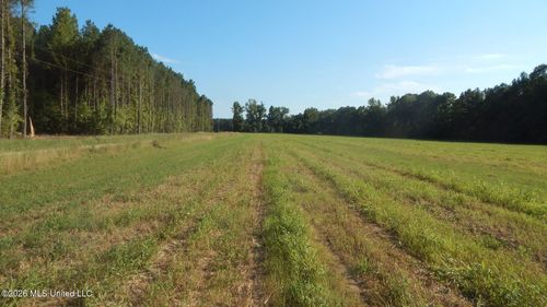 555 County Road 247 Country Road, Bruce, MS, 38915 | Card Image
