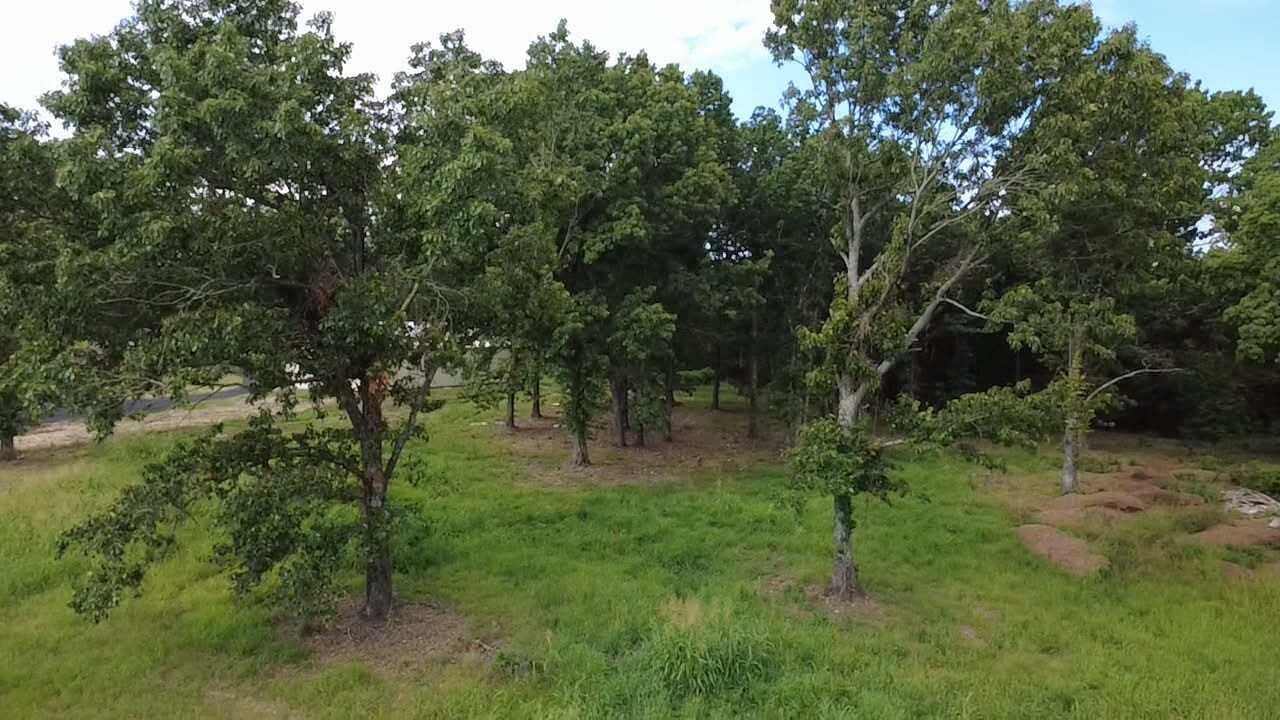 Land in Grove 4