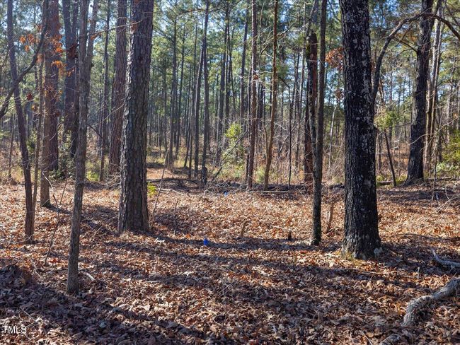 23-023-Tract1-RobedoRd-MontgomeryCounty- | Image 16
