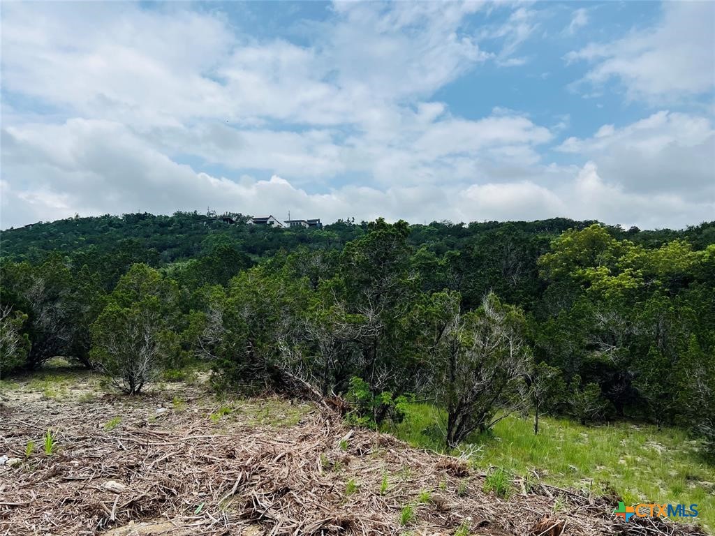 Land in Leander