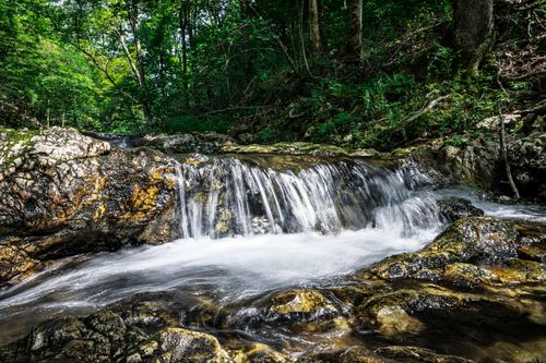 27 Duggan Rd, Glenwood, AR, 71943 | Card Image