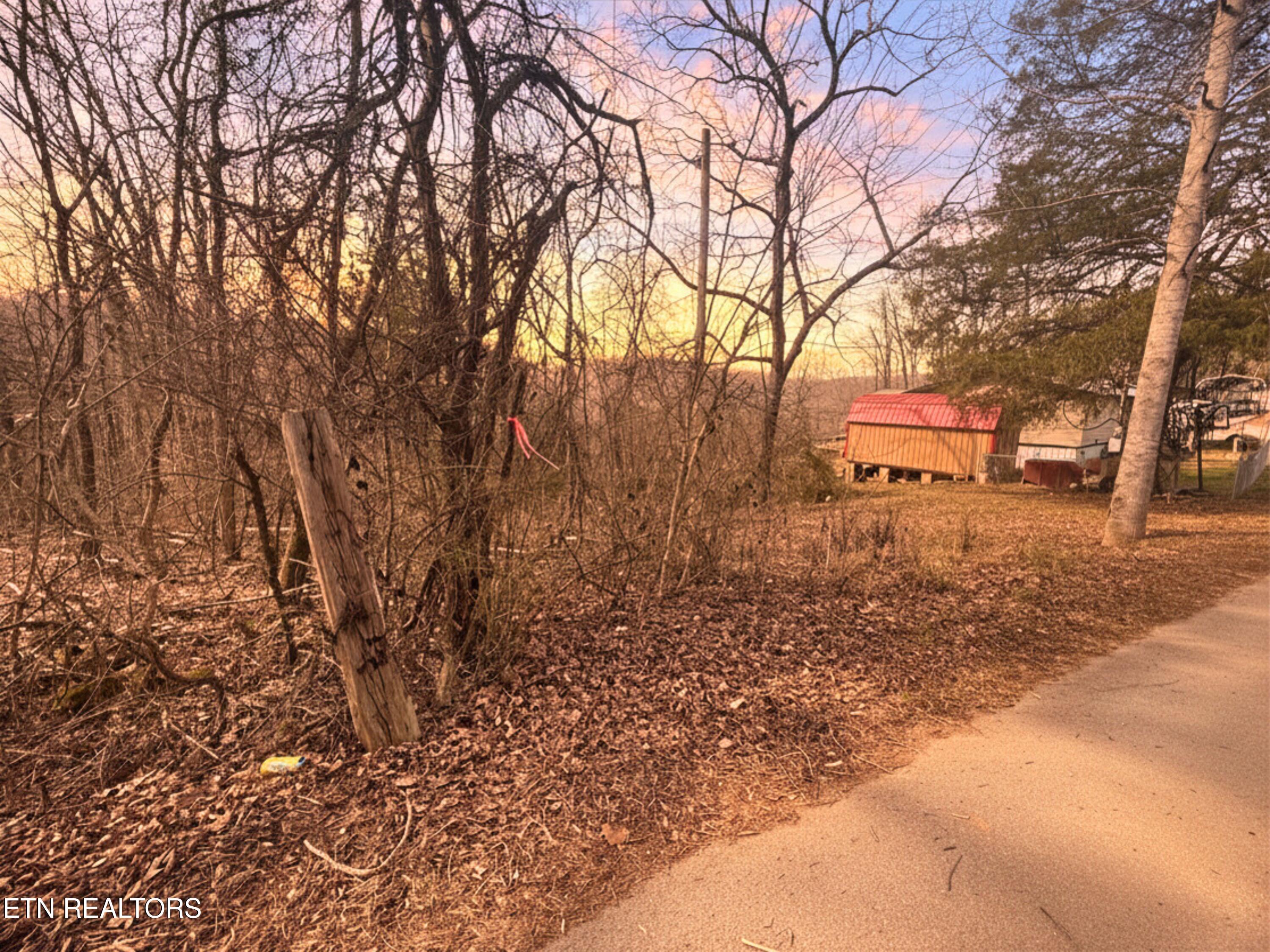 Land in Speedwell 5