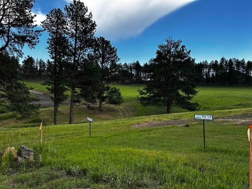 tbd-lakewood-court-Blk 6 Lot 8 Other, Hill City, SD, 57745 | Card Image