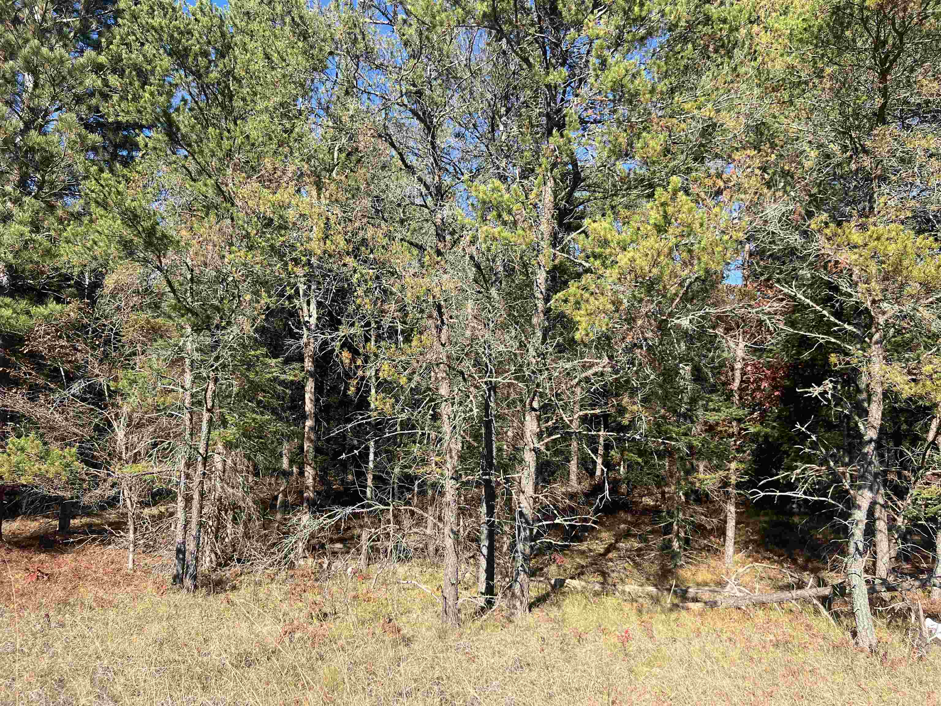 Land in Lovells Township 4