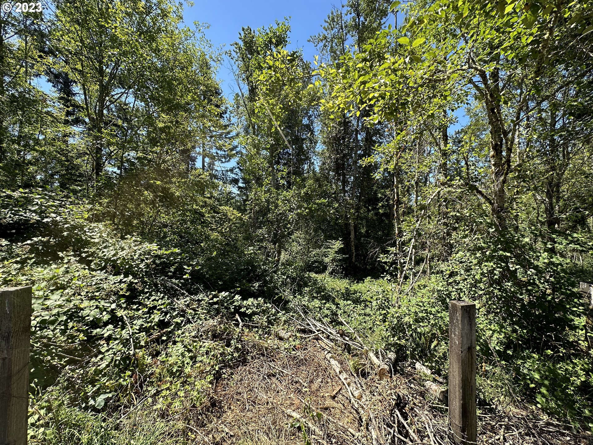 Land in Kelso 3