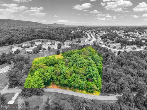 Lot 228 Larch Ln, ENOLA, PA, 17025 | Card Image