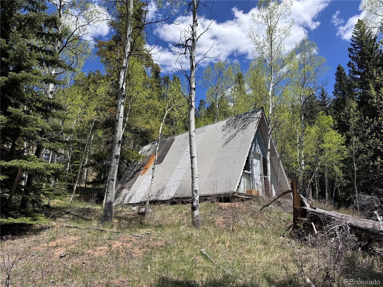 Residential in Idaho Springs 5