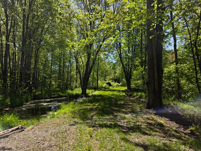 10830 3 Mile Rd, Home with 0 bedrooms, 0 bathrooms and null parking in Branch MI | Image 25
