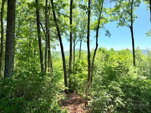 Lot 48 & 49 Davis Acres, West Jefferson, NC, 28694 | Card Image