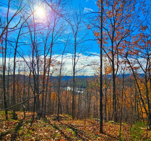  Hall Road, Chester, VT, 05143 | Card Image