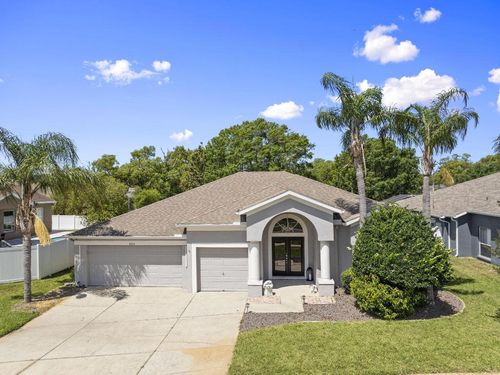 4205 Mast Ct, Land O Lakes, FL, 34639-3959 | Card Image