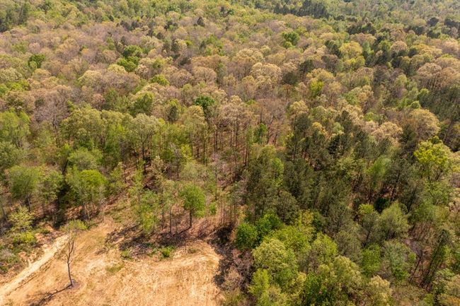 00 Cohutta Beaverdale Rd, Home with 0 bedrooms, 0 bathrooms and null parking in Cohutta GA | Image 13