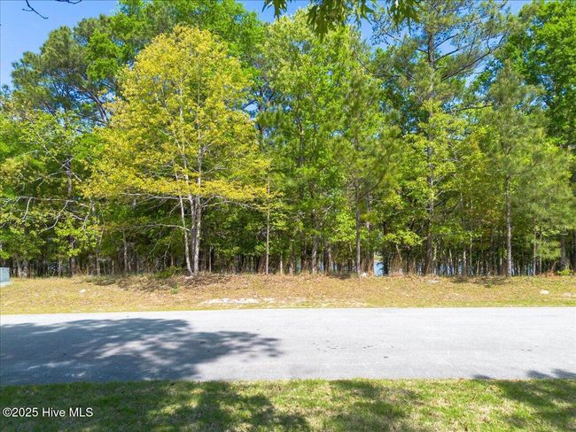 Large wooded lot | Image 4