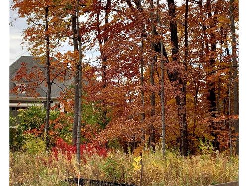 701 Shawnee Woods Rd, MEDINA, MN, 55340-9483 | Card Image