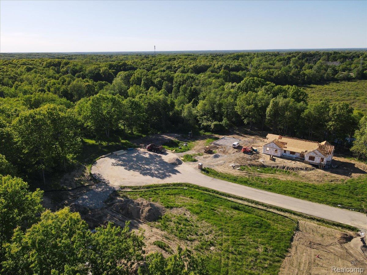 Residential in Metamora Township 3