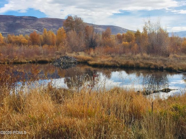 2591 River Meadows Ln, Home with 0 bedrooms, 0 bathrooms and null parking in Midway UT | Image 10