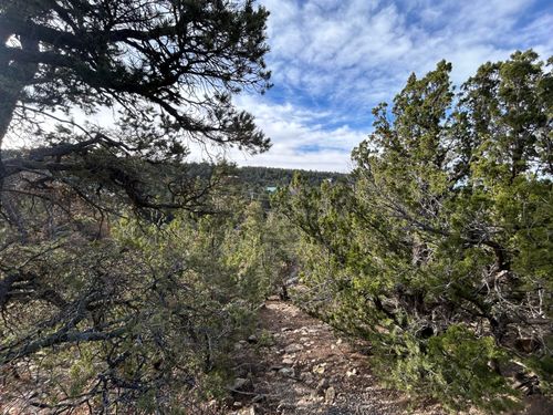 45 Lost Valley Loop, Cedar Crest, NM, 87008 | Card Image