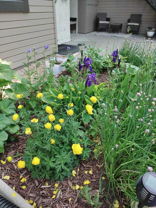 141 Cedar Springs Gdns Sw, Calgary, AB, T2W5J9 | Card Image