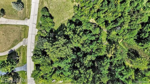 0 Shinanguag Dr, Goodrich, MI, 48438 | Card Image