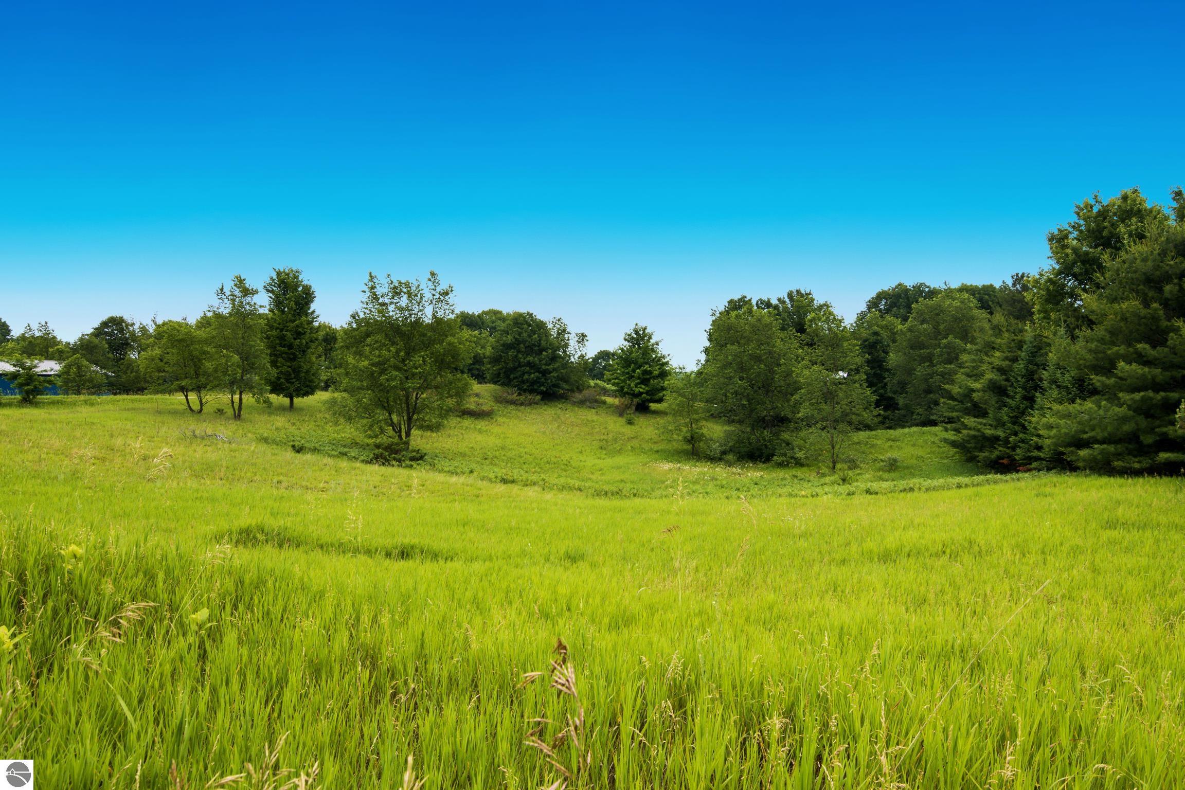 Land in Traverse City 5