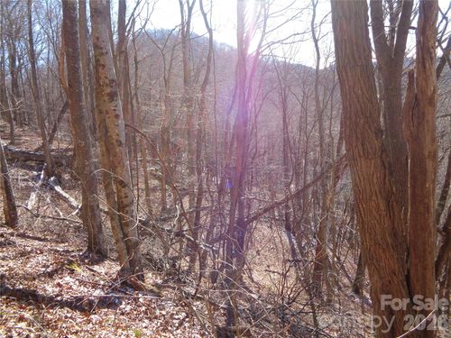 41-00 Listening Cv, Clyde, NC, 28721 | Card Image