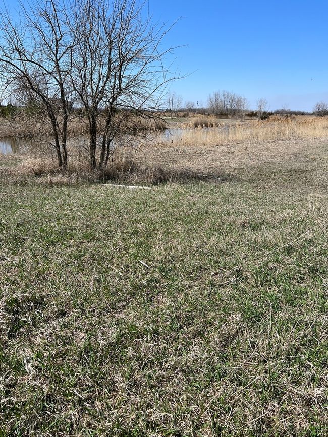 LOT 2 Lake Greenfield Lane, Home with 0 bedrooms, 0 bathrooms and null parking in Gardner IL | Image 5