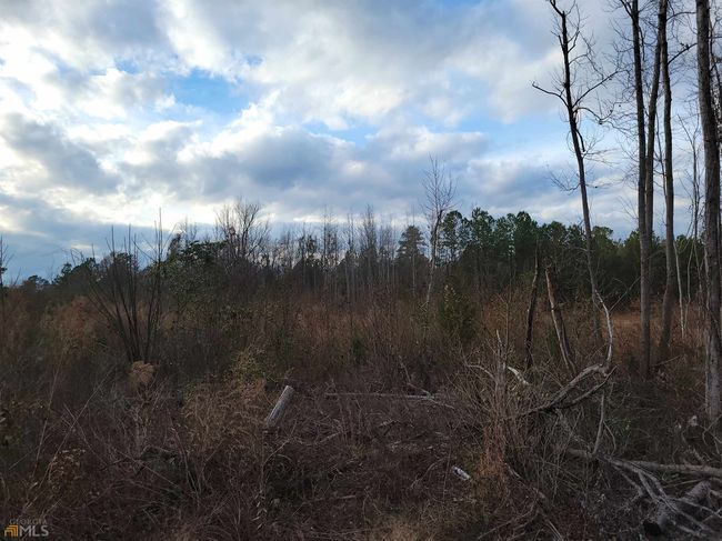 2757 Us Highway 1 N, Home with 0 bedrooms, 0 bathrooms and null parking in swainsboro GA | Image 10