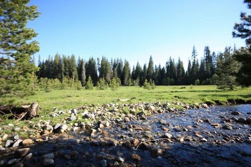 10 Road 434, Bass Lake, CA, 93604 | Card Image