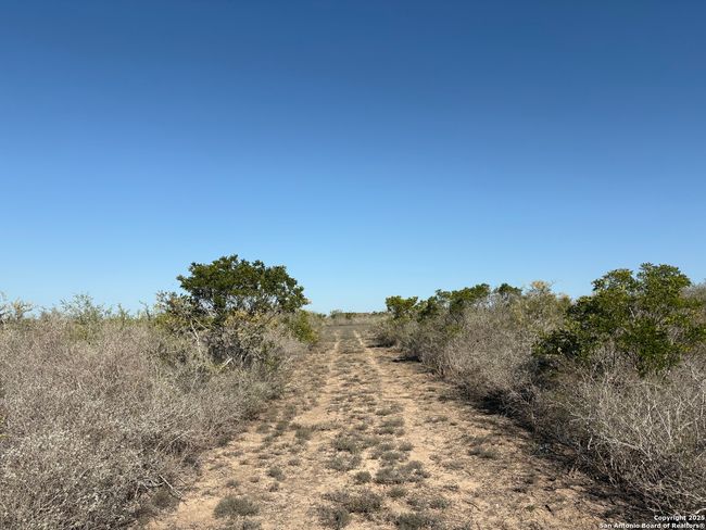 TR102 Frontier A Rd, Home with 0 bedrooms, 0 bathrooms and null parking in Freer TX | Image 12