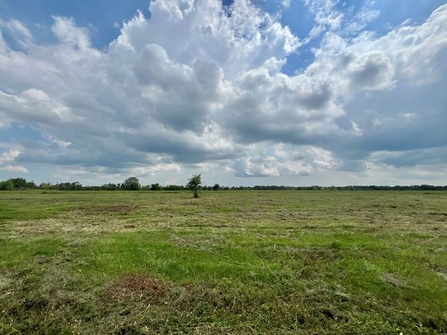 00 Apache Trl, Home with 0 bedrooms, 0 bathrooms and null parking in Angleton TX | Image 17