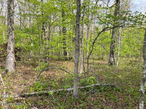 8921 Cherokee Trl, Crossville, TN, 38572-6222 | Card Image