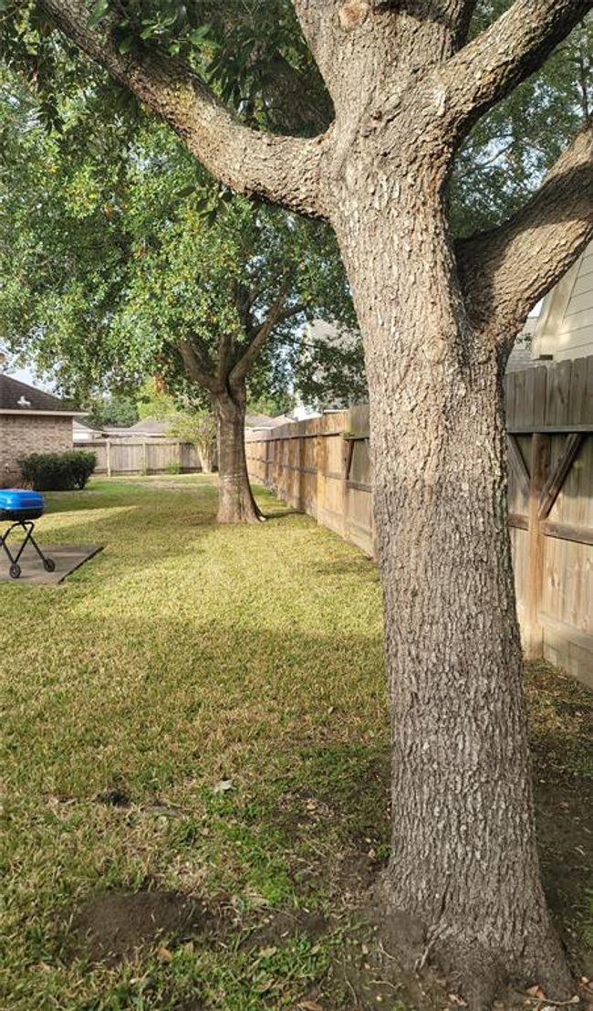 3501 Carson Ct, House other with 4 bedrooms, 3 bathrooms and 4 parking in Pearland TX | Image 25